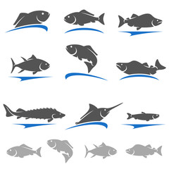 Fish set. Vector