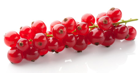 red currant on white background
