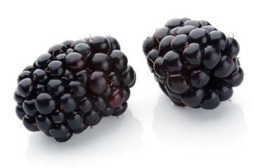 blackberries isolated for package design and advertising