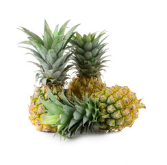 Fototapeta premium pineapple isolated on white