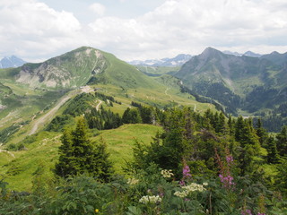 Fototapeta na wymiar Montagne - Haute-Savoie