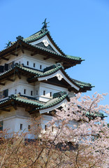 Fototapeta premium Cherry blossoms at the Hirosaki Castle Park in Hirosaki, Aomori,