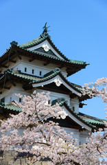 Cherry blossoms at the Hirosaki Castle Park in Hirosaki, Aomori,