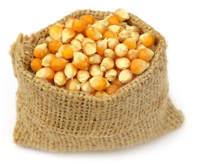 Corns in sack bag