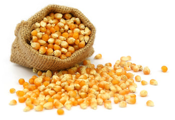 Corns in sack bag