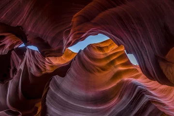 Foto op Plexiglas Lower antelope canyon lokking up © helgidinson