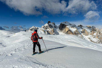 Fototapeta na wymiar Trentino, panorama alpino