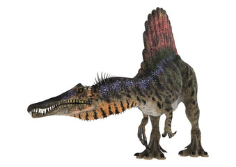 Fototapeta premium Dinosaur Spinosaurus