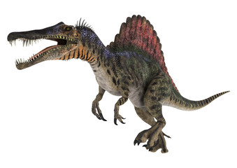 Obraz premium Dinozaur Spinozaur