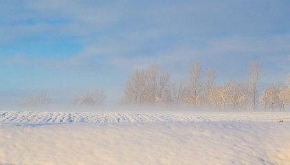 Winter landscape view fields forests covered snow fog