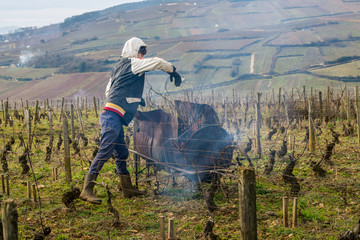 br&ucirc;ler les sarments