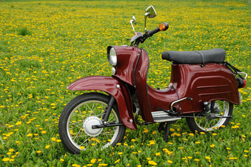 Obraz premium Moped Schwalbe