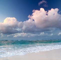 tropical sea