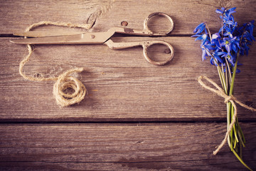 snowdrops on wooden background
