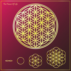 Obraz premium The Flower Of Life_1