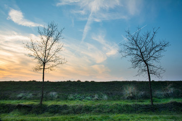 Obraz premium Countryside at sunrise