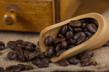 wooden scoop with fresh roasted coffee beans