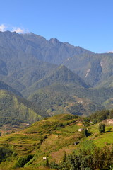 Fototapeta premium Fransipan, Sapa