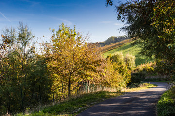 Cultivated fields under chalk badlands