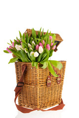 Pink and white tulips in basket