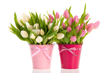Pink and white tulips in buckets
