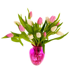 Pink and white tulips in glass vase