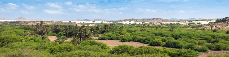Fototapeta na wymiar Oasis near Viana desert, Boavista - Cape Verde