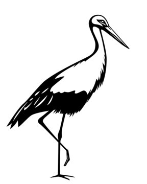 recommend clip art: illustration of stork in black and white