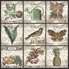 Fototapeta premium Gardening