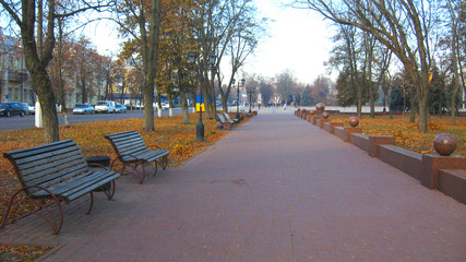 Fototapeta na wymiar benches and path in the Autumn city park