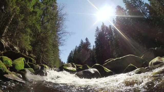 water stream in the woods