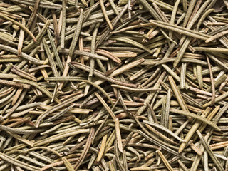 rosemary herb food background