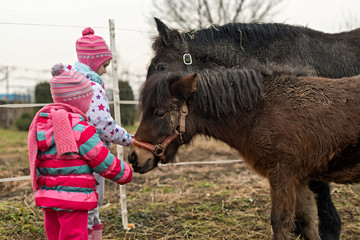 enfants et équestre