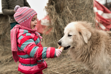 little girl feeding her puppy