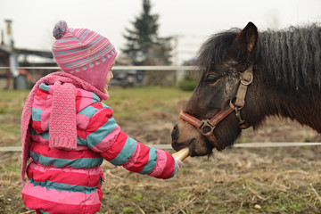 petite fille avec cheval