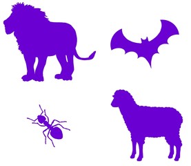 Animaux en 4 icônes