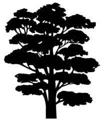 Arbre