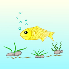 fish underwater sea ocean