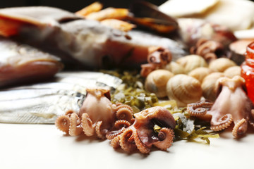Fresh catch of fish and other seafood close-up