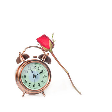 Red Rose Flower and alarm clock