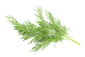 Sprig of dill isolated on white