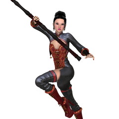 Obraz premium カンフーガール