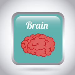 brain icon design
