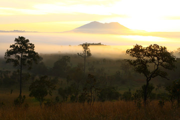 misty morning sunrise in mountain at Thung Salang Luang National