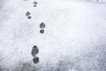 降った雪についた足跡