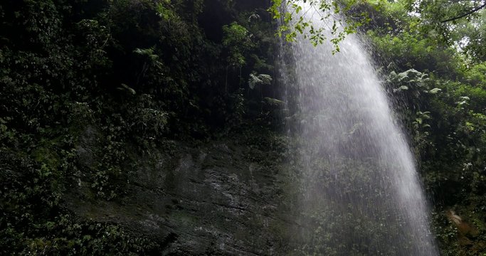 4K, Cascada De Los Tilos, Waterfall on La Palma, Canaries
