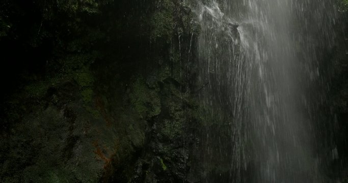 4K, Cascada De Los Tilos, Waterfall on La Palma, Canaries