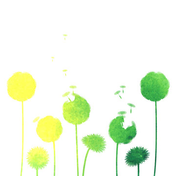 watercolor dandelion background