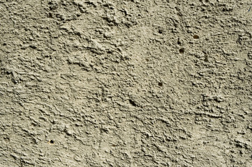 cement wall background or texture