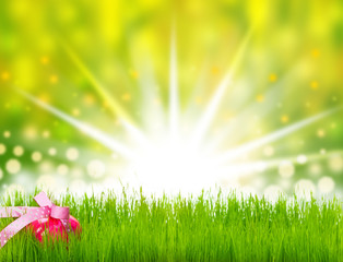 Obraz premium Osterei im Gras, Bokeh